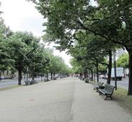 菩提树下大街