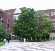 麻省理工大学