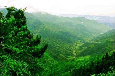 南昆山国家森林公园 南昆山国家森林公园