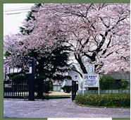 立教大学