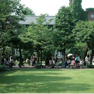 立教大学
