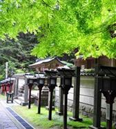 不动院