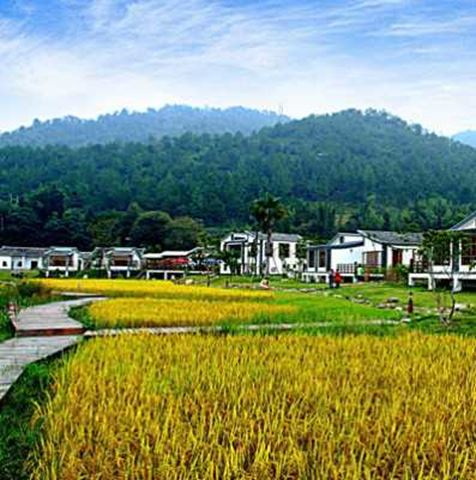 万绿谷休闲度假风景区 万绿谷休闲度假风景区