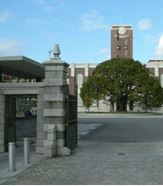 京都大学