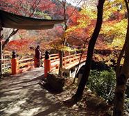 高山寺