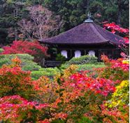 银阁寺