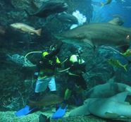 泰国水族馆
