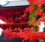 仁和寺