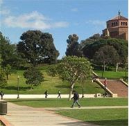 加州大学洛杉矶分校