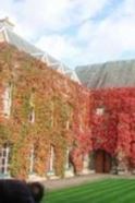 牛津大学林肯学院