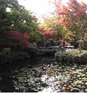中山公园