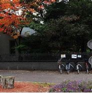 北海道大学