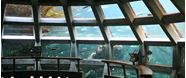 西雅图水族馆