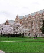 华盛顿大学