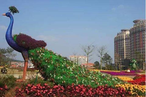 河源客天下醉蝶谷绿色庄园 河源客天下醉蝶谷绿色庄园