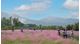新大河禾塘湿地公园
