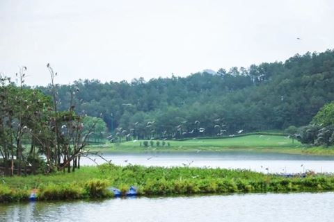 白鹭湖生态保护区 白鹭湖生态保护区