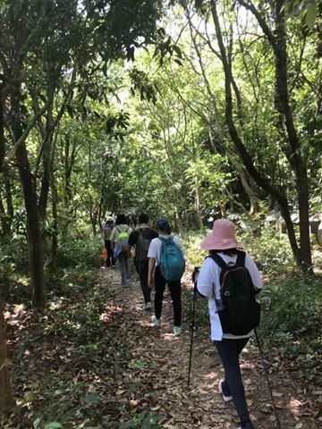 阳台山野炊营地
