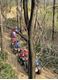 客天下山地越野车基地
